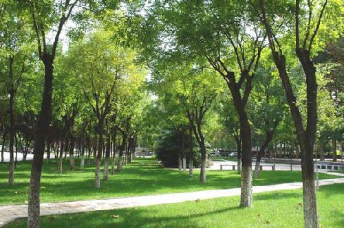 2019ɽ��ʡ��ѧ�������У�ɽ����ѧ��ȫ�������ڼ�����רҵ����Щ