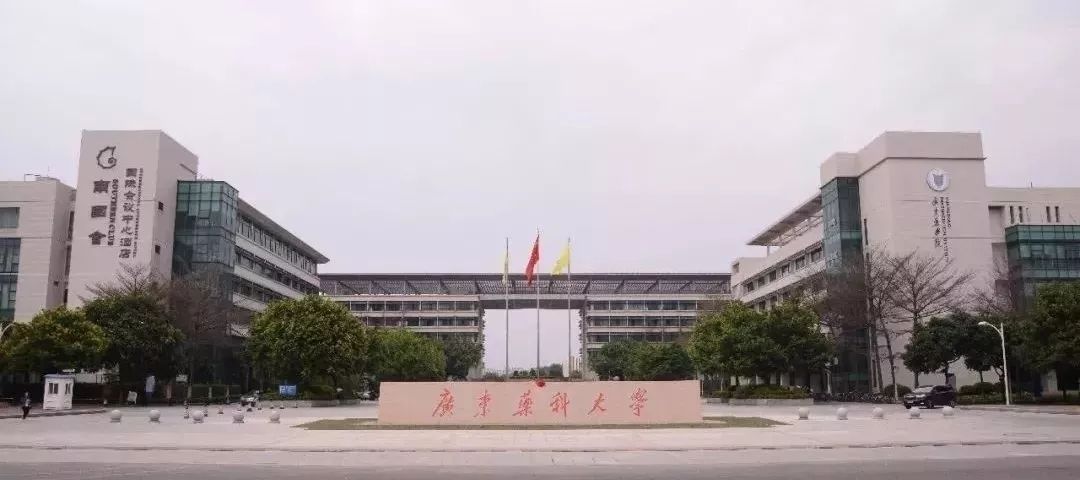 㶫Щѧ2019㶫ѧ߲ο