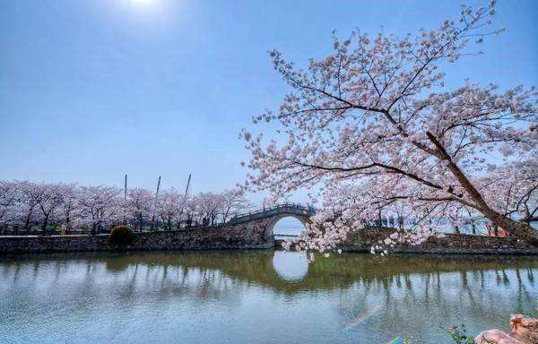 2019江南大学全国排名及分数线怎么样?揭秘江南大学五大高薪专业