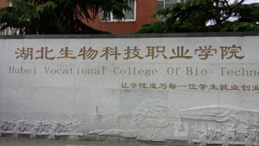 湖北有哪些专科学校名单及排名,盘点湖北十大最好专科学校