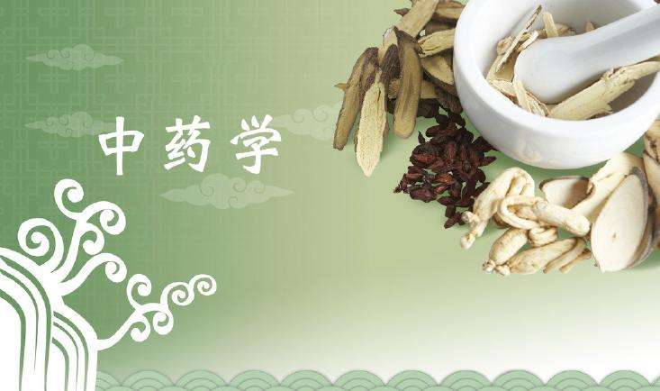 中药学有哪些就业方向前景怎么样工资高吗?女生学中医好就业吗