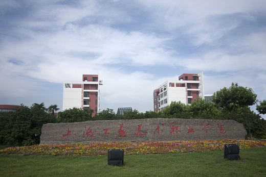 上海大专院校有哪些最新排名及分数线?揭秘五所最好的专科院校