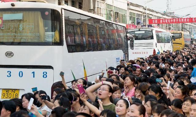 ë̹����ҵ����������Щ��Ϊʲô����ë̹����ѧ������ʲô��