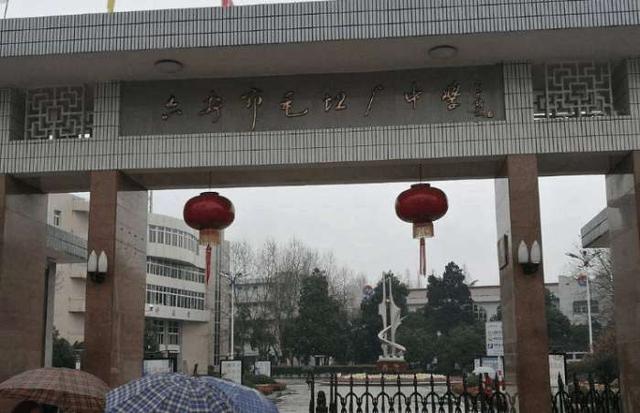 ë̹����ҵ����������Щ��Ϊʲô����ë̹����ѧ������ʲô��