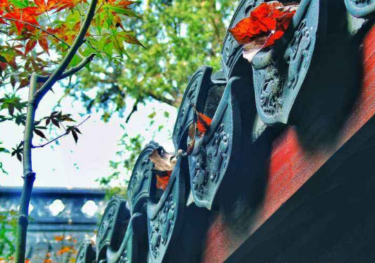 学前教育考研出路怎么样都有哪些?建议学前教育专业考研吗