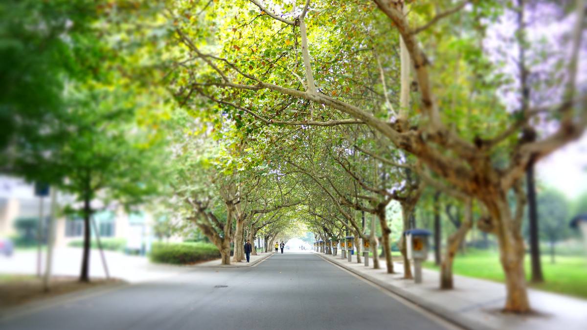电子科技大学沙河校区地址在哪?沙河校区和本部有什么区别?