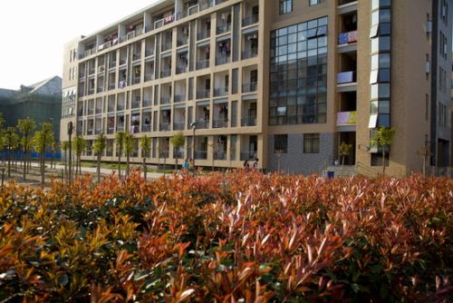 河南农业大学排名全国第几是211吗?有哪些优势专业揭秘最好专业
