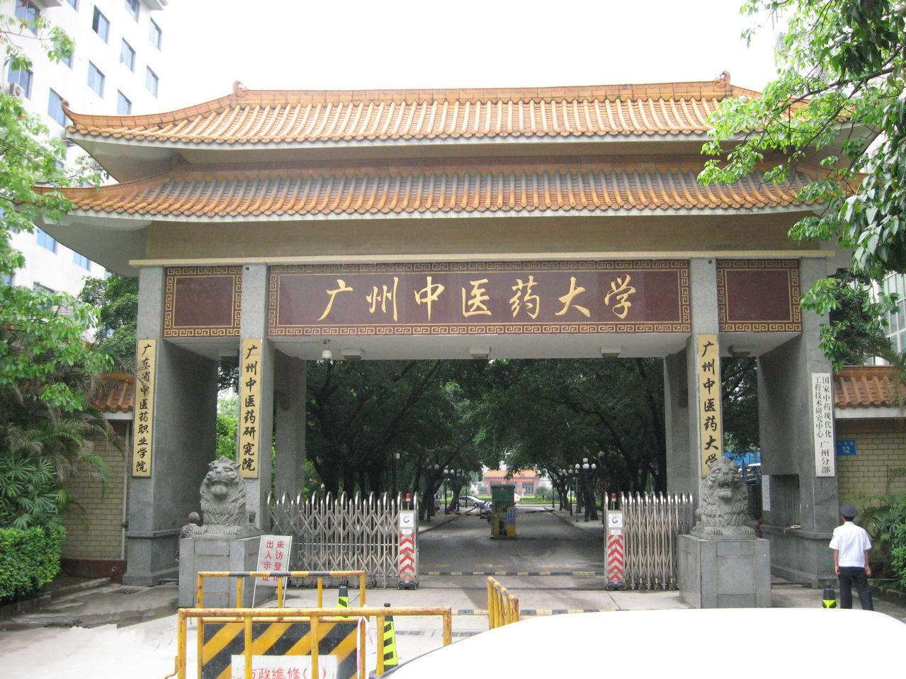 最新2023国内中医药大学排名,揭秘最好的五所双一流中医药大学