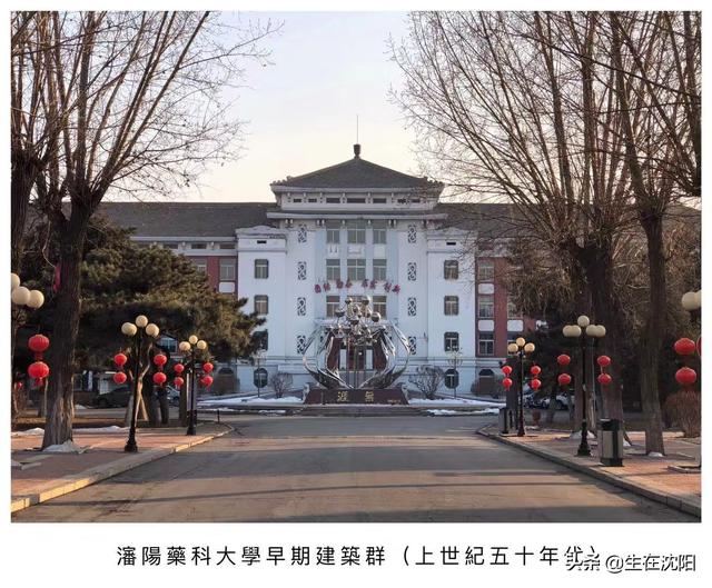 沈阳药科大学实力如何?最牛专业及就业前景分析