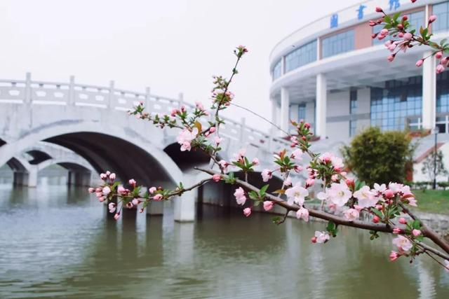 河海大学文天学院与皖江工学院的关系?河海大学文天学院怎么样好