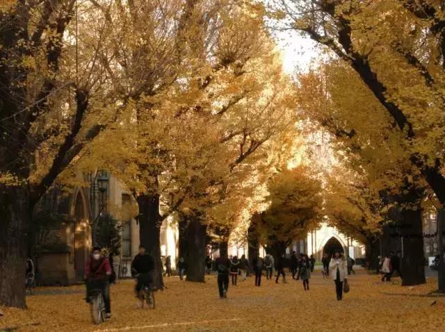 ѧڼ޵һ𣿶ѧжţЩ