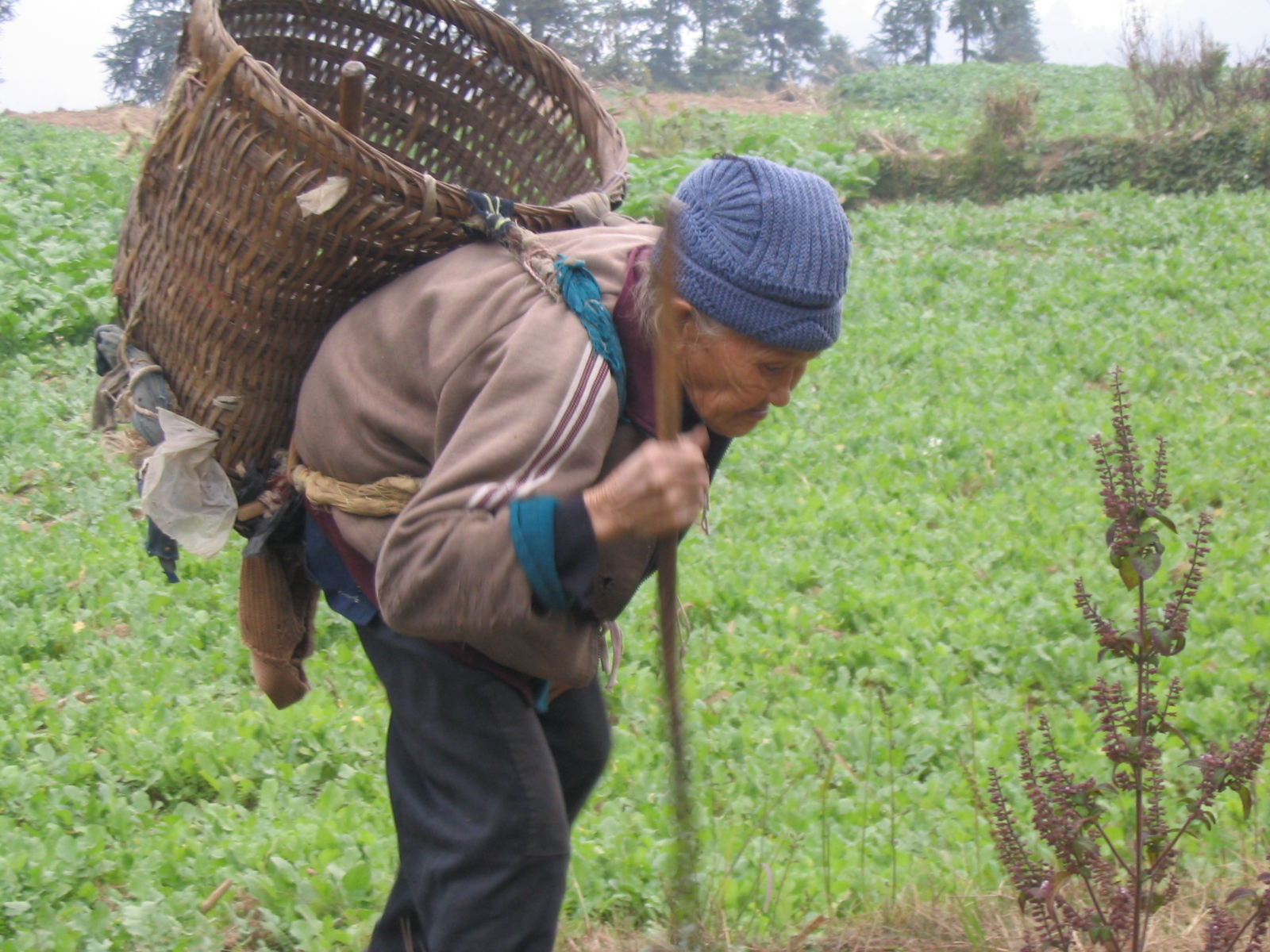 ��������Ϊʲô����ס���ԭ�����ʵ����ο�����������֪��