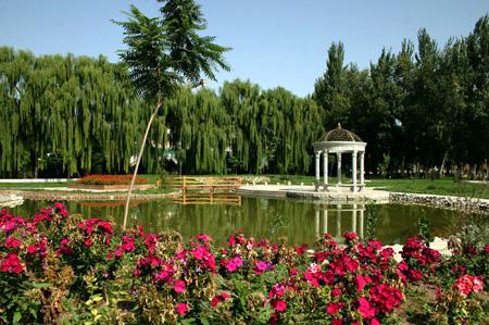 ����ʦ����ѧ��һ�����Ƕ�����ȫ�������ڼ����������ò��ã�