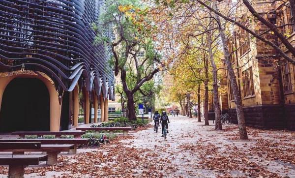 墨尔本大学怎么样世界排名第几?回国认可度高吗?