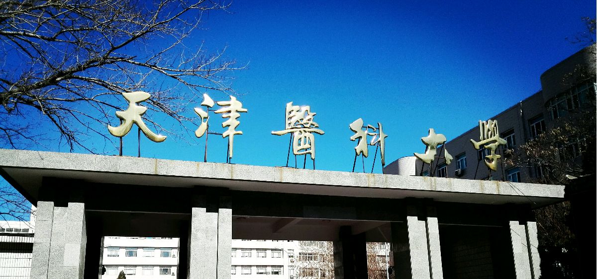 天津医科大学是几本是211?师资排名揭秘?有哪些强势专业好就业吗