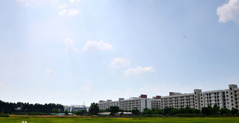 广西大学行健文理学院口碑怎么样?是几本热门专业有哪些?