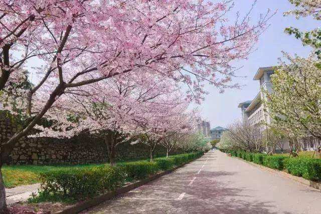 ������ҽҩ��ѧ�Ǽ�����һ�����м���У����ַ������ʲô����