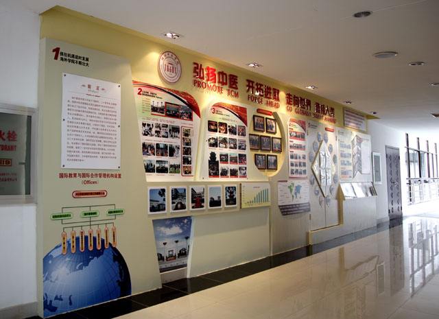 ������ҽҩ��ѧ�Ǽ�����һ�����м���У����ַ������ʲô����