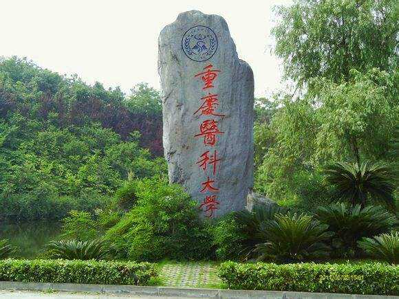 重庆医科大学是211吗?为什么分那么高?最强专业?就业率高吗?