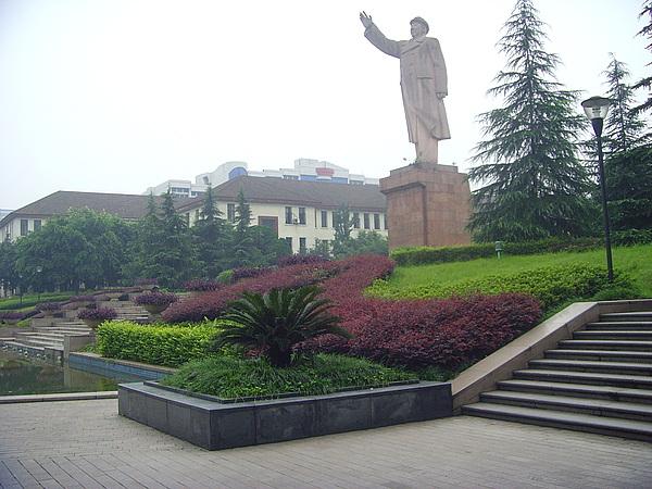 重庆医科大学是211吗?为什么分那么高?最强专业?就业率高吗?