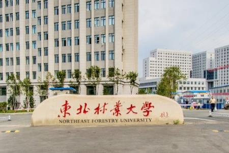 东北林业大学认可度高吗?口碑怎样?最强专业?就业前景如何?