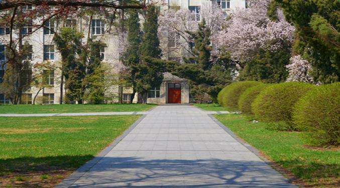 东北林业大学认可度高吗?口碑怎样?最强专业?就业前景如何?