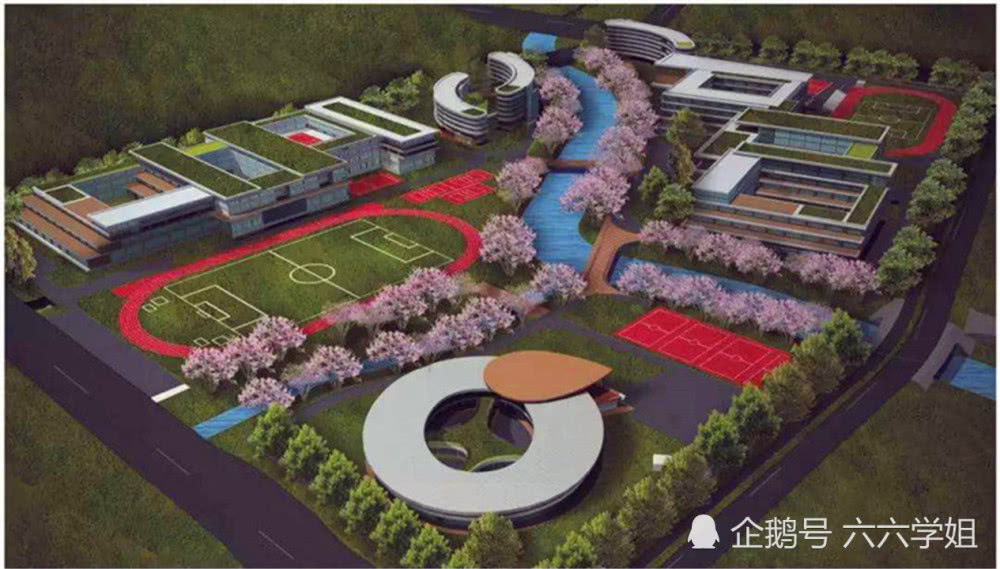 云谷学校入学条件是什么收费如何?马云云谷学校是如何教学生的