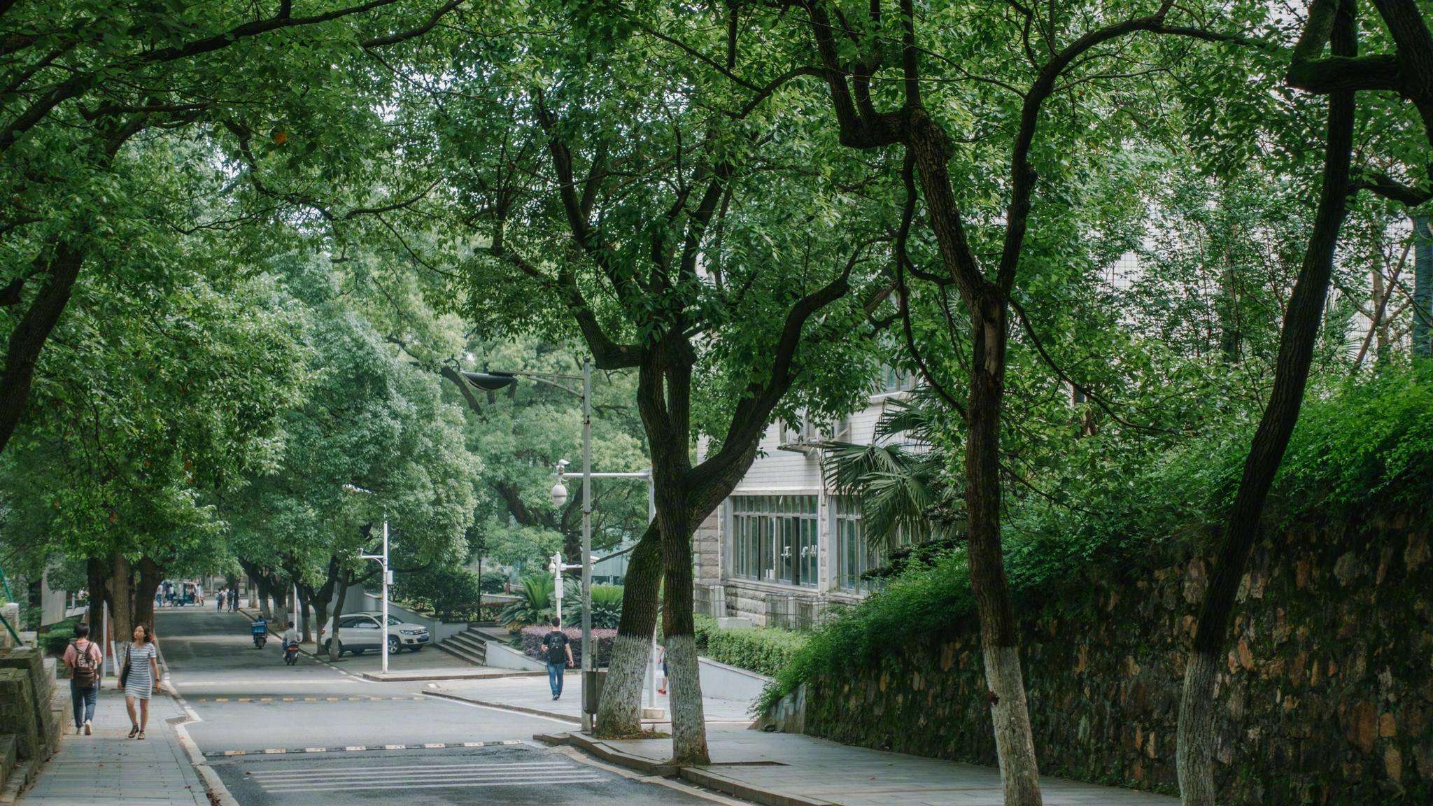 中南大学研究生好考吗?研究生院和本部在一起吗?考研有哪些专业