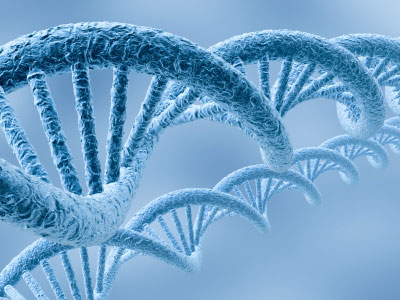 生物专业考研方向是什么?生物专业考研比较好的学校有哪些