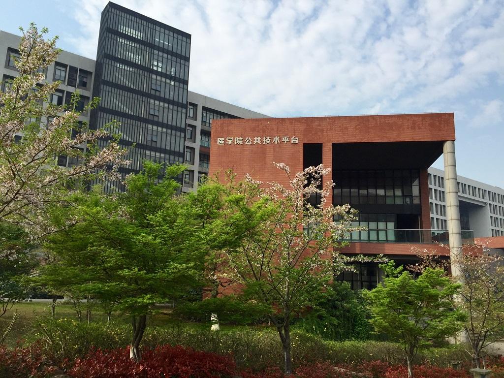 浙江大学医学院厉害吗是不是很难考?全国排名第几?宿舍条件好不
