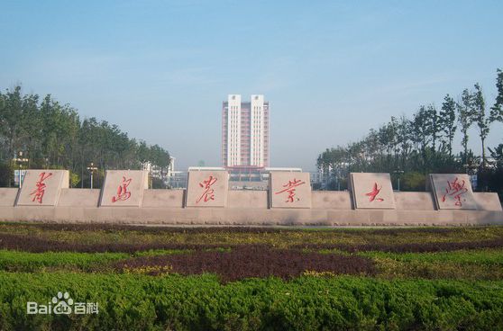山东考研率最高的大学是哪所院校?山东考研率高的学校排名