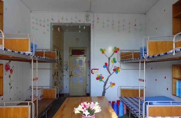 沈阳农业大学怎么样?是小211吗?就业率高吗?宿舍条件如何?