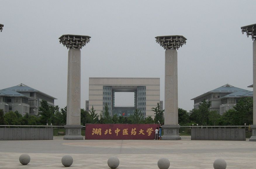 湖北二本院校都有哪些院校?湖北二本院校综合推荐排名