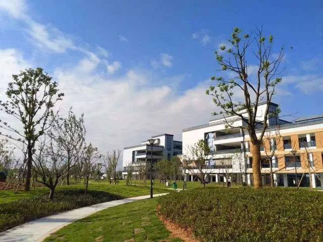 浙江师范大学行知学院在哪?怎么样?学费多少?什么专业最强?