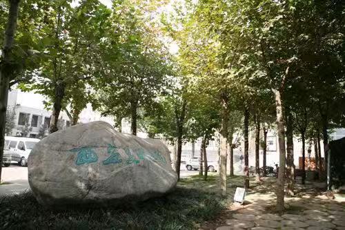 西安美术学院是一本吗?含金量怎样?王牌专业有哪些?学费贵吗?
