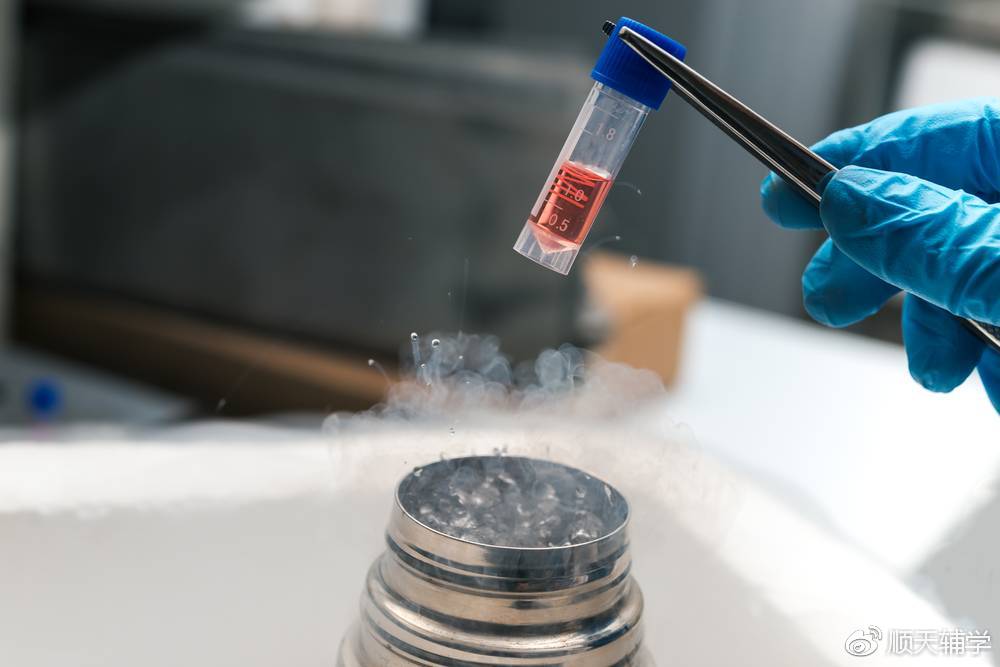 生物医学工程好不好就业前景如何?最好的生物专业院校