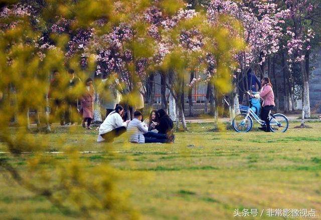 ����ѧԺ�Ǽ���ԺУ���ڰ���������ô������õ�רҵ��ʲô��