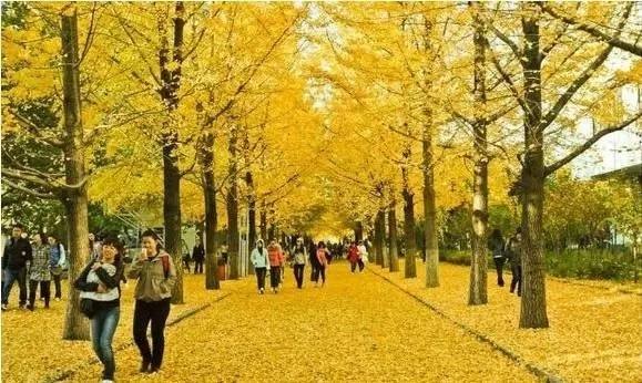 ����ѧԺ�Ǽ���ԺУ���ڰ���������ô������õ�רҵ��ʲô��