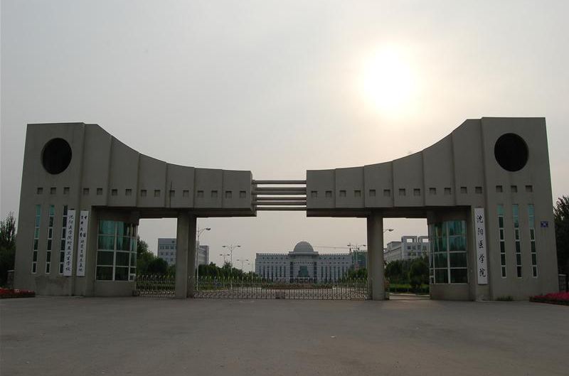 ҽѧԺǼʡôѧʦأҵô