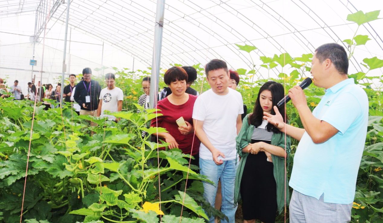 农学专业有前途吗毕业后去向如何?农学中好就业的专业有哪些