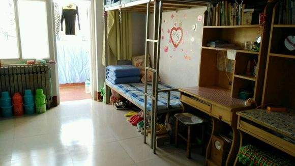 河北工业职业技术学院怎么样好吗是本科吗?排名第几?宿舍条件如何