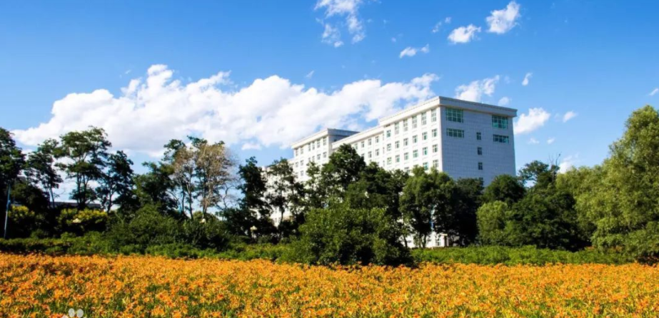 学校成立于上个世纪九十年代,前身为葫芦岛财经学校.