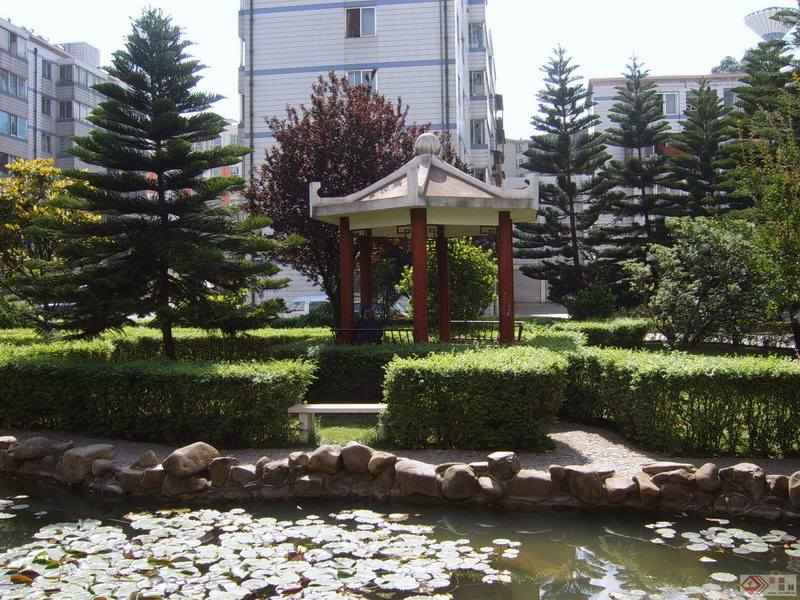 云南财经大学中华职业学院很厉害吗?具体位置在哪?宿舍环境怎样