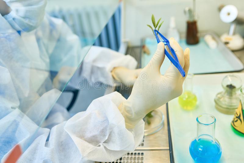 医学考研难度低的学校有哪些你知道吗?医学考研一般通过率有多少
