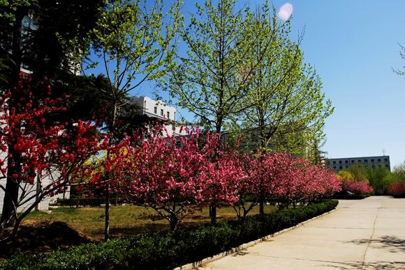 北京社会管理职业学院地址在哪怎么样?实力专业有哪些?宿舍条件