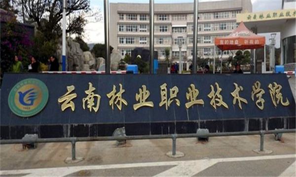 云南林业职业技术学院有哪些王牌专业?详细地址在哪?宿舍条件