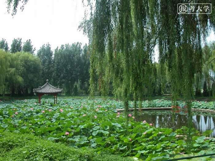 ����Զ��ְҵ����ѧԺ��ô���ǹ�����ѧ�Ѷ��٣�����רҵ����