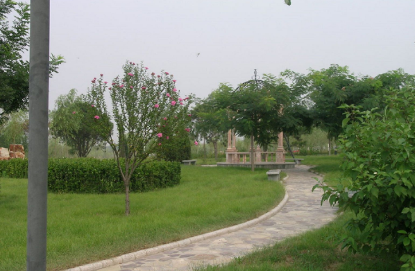 �ػʵ�ְҵ����ѧԺ��ô���ںӱ������ڼ�?��ɫרҵ�����ỷ��