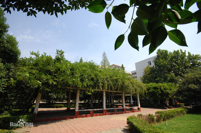 ƽ��ɽְҵ����ѧԺ��ô����ַ���ģ�����Щ����רҵ��ѧ�Ѷ��٣�