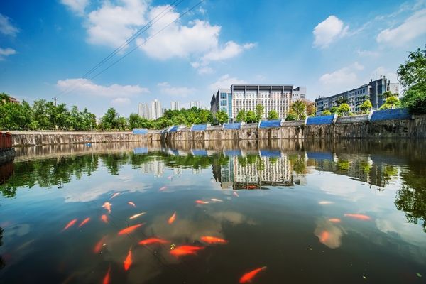 重庆城市职业学院怎么样好吗?具体位置在哪?学费多少?宿舍环境